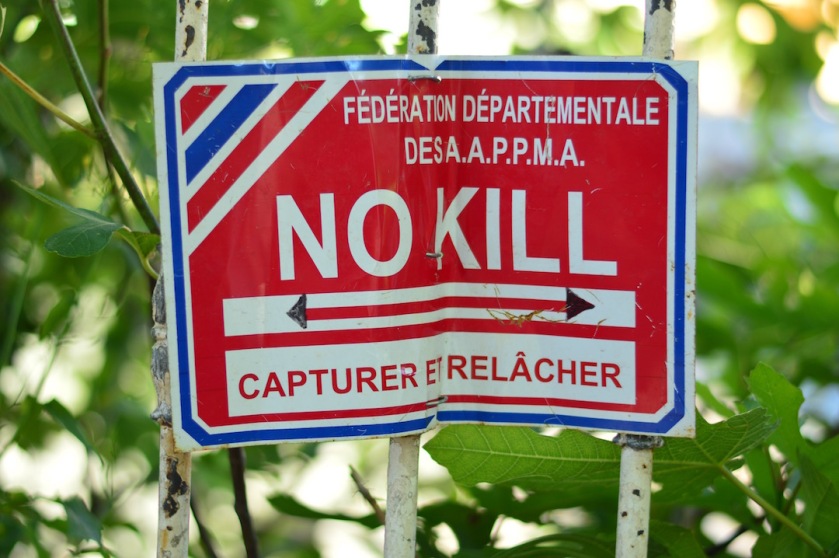 No kill
