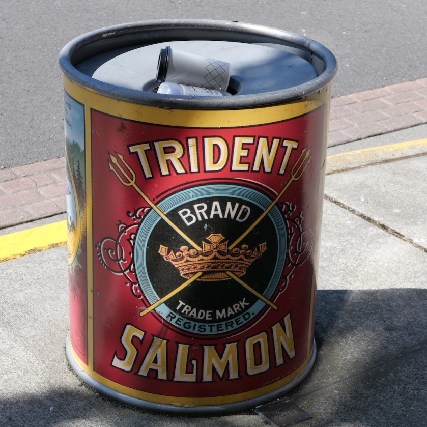 Trident salmon