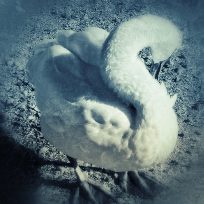 JPEG image-51AC90BF78F9-1