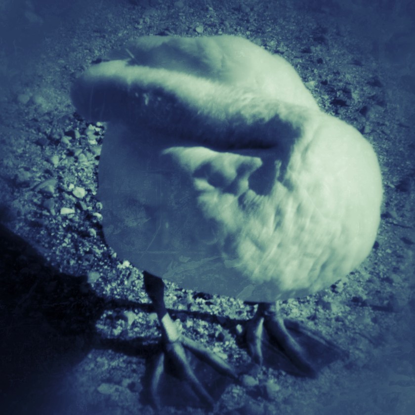 JPEG image-633894DD163B-1