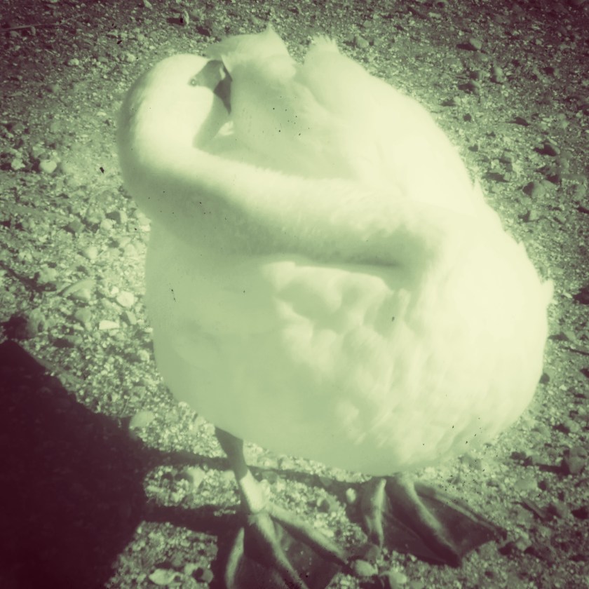 JPEG image-76E8234183B4-1