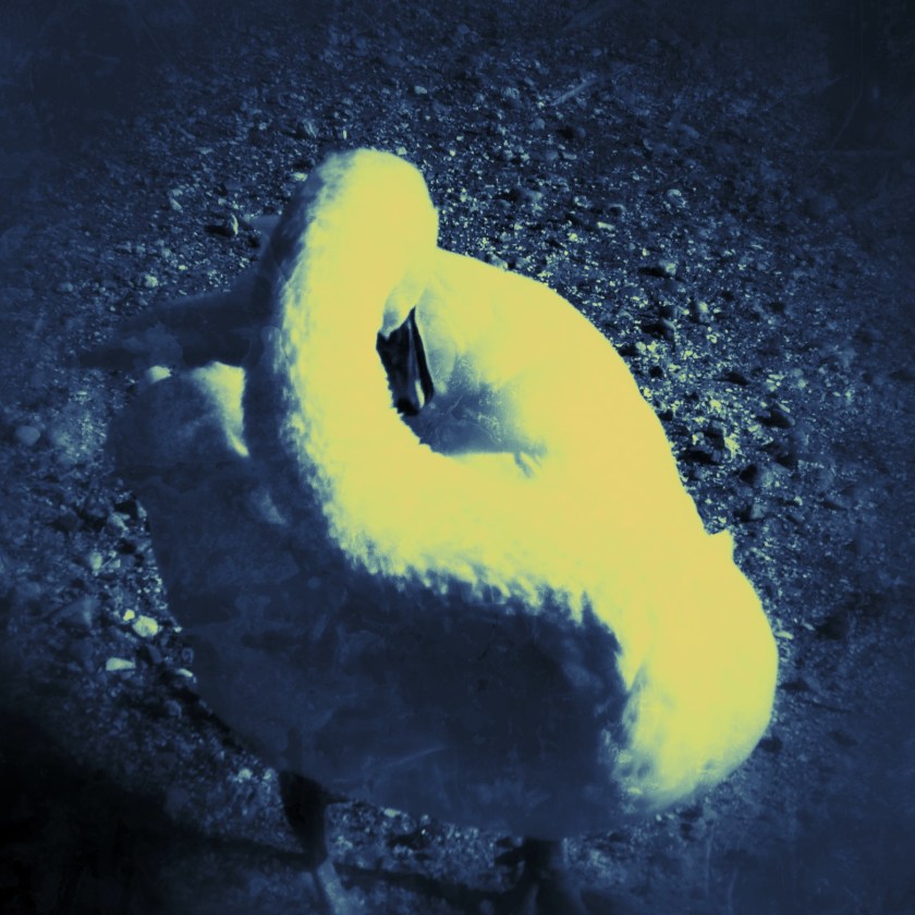 JPEG image-B95F4CA9D0EA-1