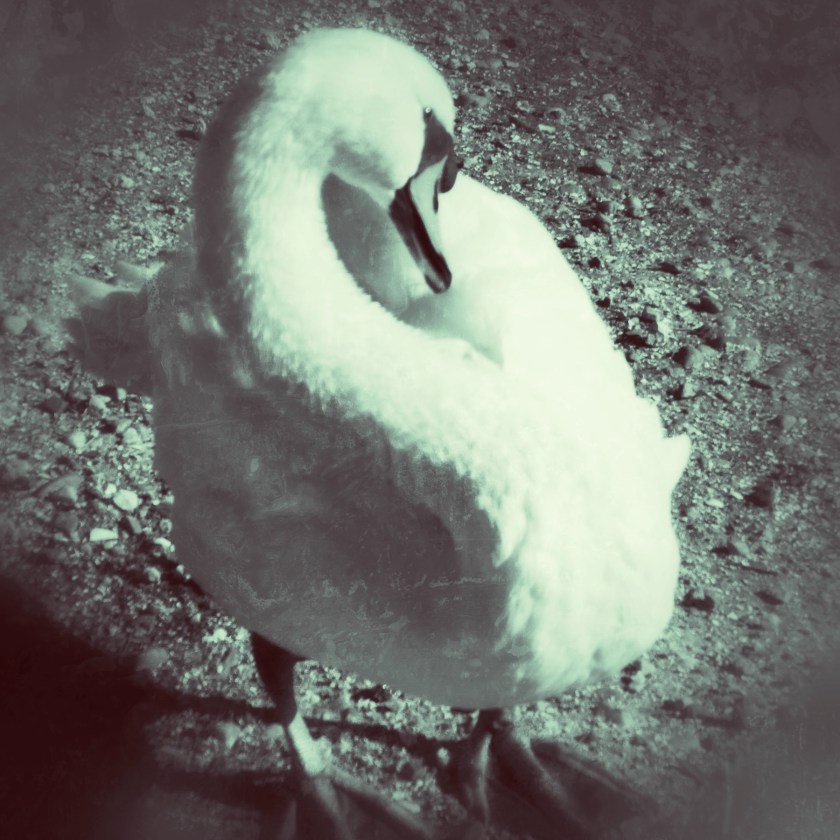 JPEG image-D372EA4A1380-1